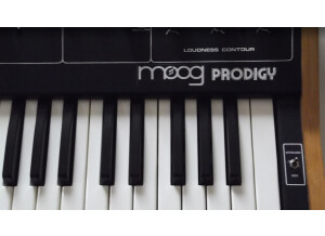 Moog Music Prodigy (49776)