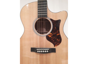 Martin guitars GPCPA4   (13)