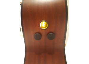 Martin Guitars GPCPA4    (4)
