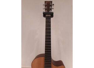 Martin Guitars GPCPA4    (8)