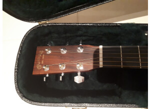 Martin guitars GPCPA4   (2)