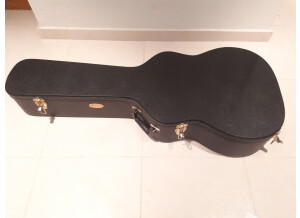 Martin guitars GPCPA4   (4)