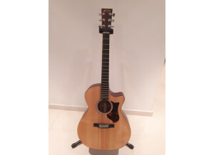 Martin guitars GPCPA4   (9)