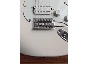 Fender Standard Stratocaster HSS [2009-Current] (71654)