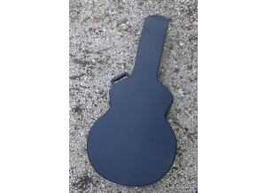 Gibson ES-120T (36607)