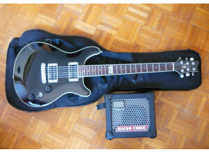 VIG Guitars Spirit (71662)