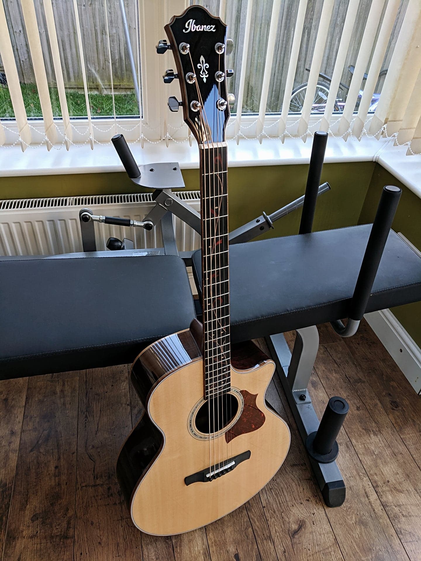 Ibanez AE255BT