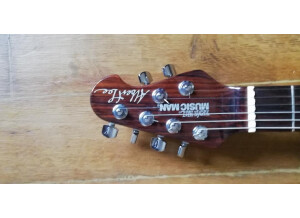 Gibson Les Paul Standard DC (75101)