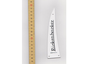 Rickenbacker 4003 - Jetglo (840)