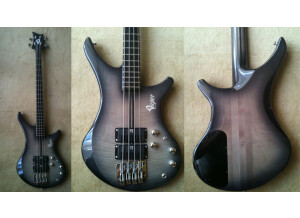 Vigier Passion (25314)