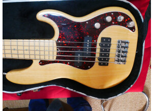 Fender American Deluxe Precision Bass V [1998-2001] (35222)