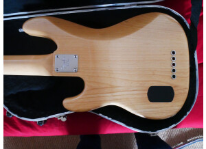 Fender American Deluxe Precision Bass V [1998-2001] (31332)