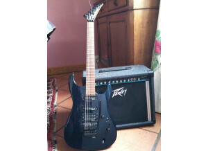 Peavey Studio Pro 110 (6615)