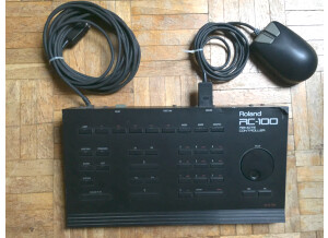 Roland RC-100 (82310)