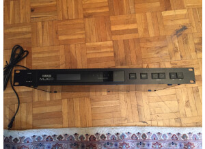 Roland RC-100 (11256)