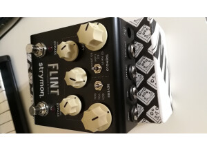 Strymon Flint (78311)