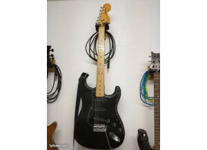 Fender Stratocaster Hardtail [1973-1983] (89939)