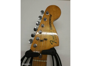 Fender Stratocaster Hardtail [1973-1983] (55486)