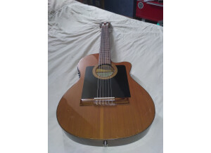 Alhambra Guitars 3C (98574)