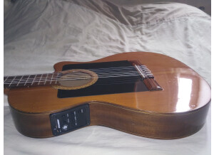 Alhambra Guitars 3C (76752)