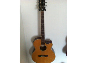 Epiphone PR-4E Acoustic/Electric Player Pack (73414)