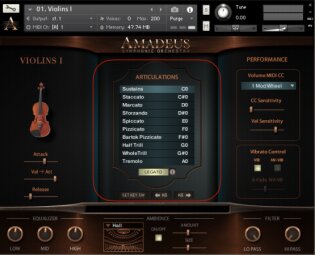 AmadeusMain-1 AmadeusMain-1
