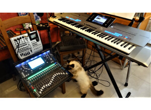 SQ5 - la réception - Caline examine la nouvelle console de mixage arrivée