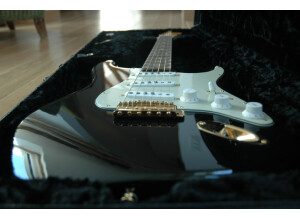 Fender custom shop 59 NOS edition limited