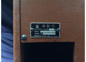 Roland Cube 60 Vintage (51746)