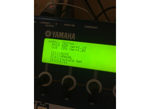 Yamaha RM1X (48786)