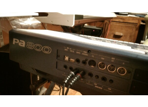 Korg Pa800 (91878)