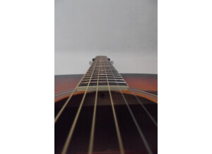 Elypse Guitars Gaby - Sunburst (59457)