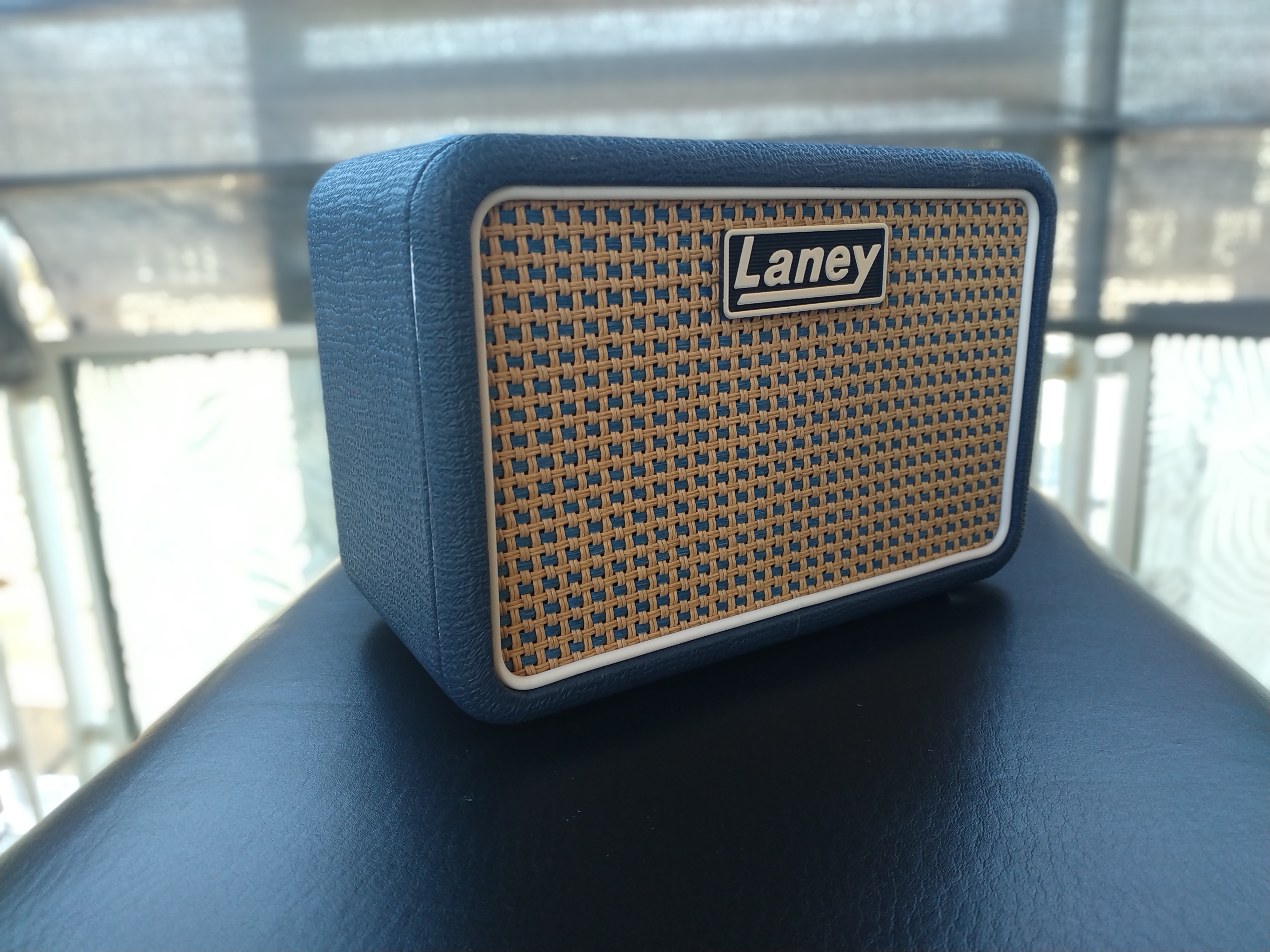 laney_mini_st_lion_face