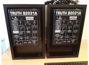 Behringer Truth B2031A (62041)