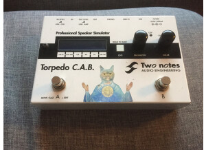 Two Notes Audio Engineering Torpedo C.A.B. (Cabinets in A Box) (62270)