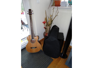 Takamine EGB2S-N (20689)