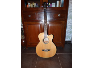 Takamine EGB2S-N (68698)