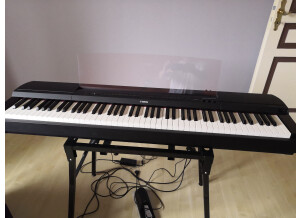 Yamaha P-255 (47818)