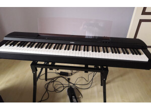 Yamaha P-255 (22440)