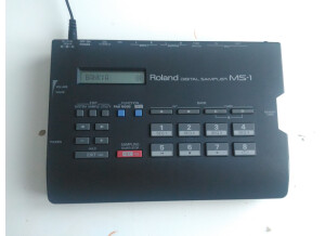 Roland MS-1 (35320)