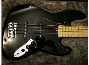 Fender American Professional Jazz Bass V (70463)