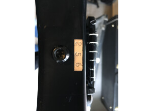 ESP M-II Maple EMG (20832)