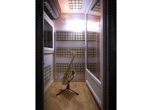 Isolation saxophone HDS