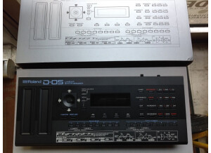 Roland D-05