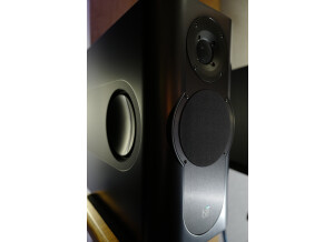Kii Audio Kii Three Pro (74499)