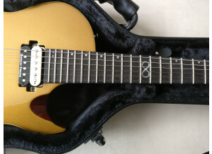 Chapman Guitars ML-2 Classic (76408)