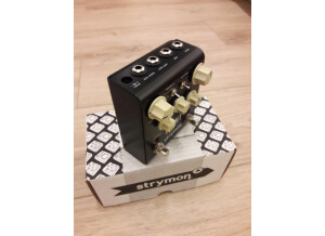 Strymon Flint (12375)