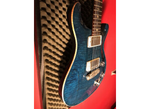 PRS Custom 22 Birds Whale Blue (79420)