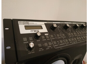 Moog Music SlimPhatty (24726)