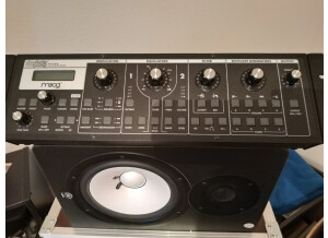 Moog Music SlimPhatty (68226)